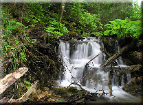 SLOVENSKÝ RAJ